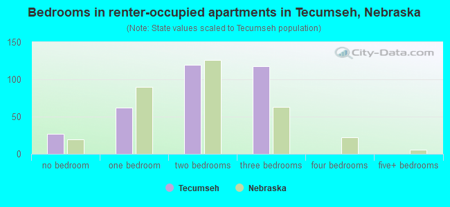 Bedrooms in renter-occupied apartments in Tecumseh, Nebraska