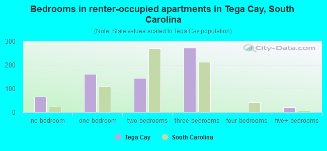 Bedrooms in renter-occupied apartments in Tega Cay, South Carolina