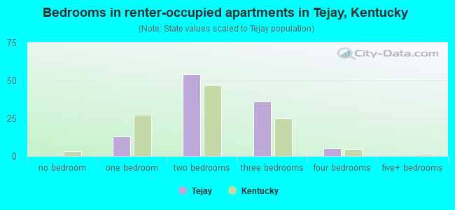 Bedrooms in renter-occupied apartments in Tejay, Kentucky