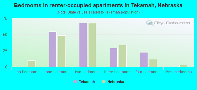 Bedrooms in renter-occupied apartments in Tekamah, Nebraska