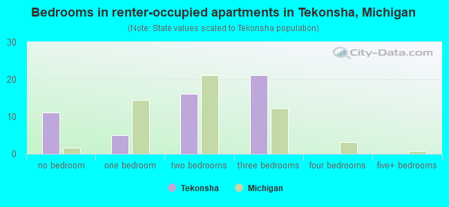 Bedrooms in renter-occupied apartments in Tekonsha, Michigan