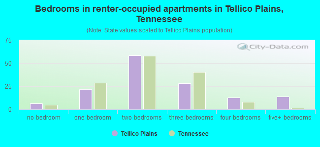 Bedrooms in renter-occupied apartments in Tellico Plains, Tennessee