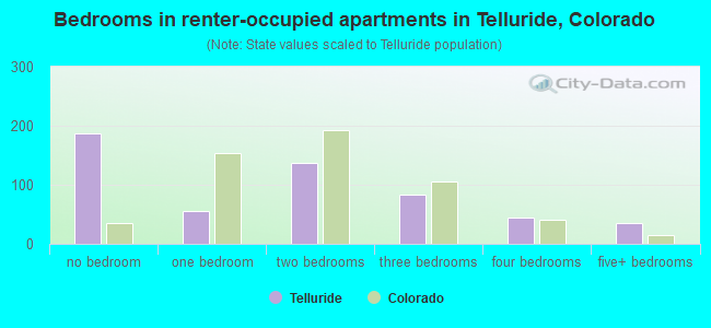 Bedrooms in renter-occupied apartments in Telluride, Colorado