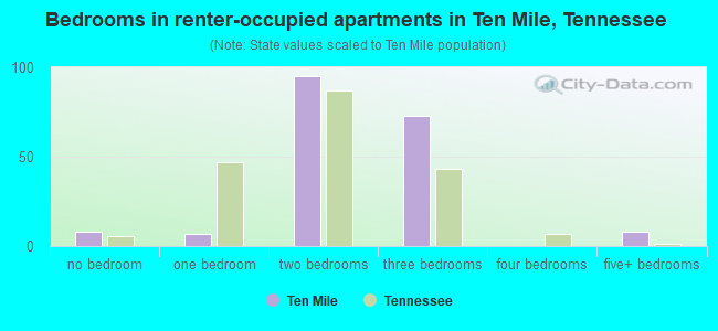 Bedrooms in renter-occupied apartments in Ten Mile, Tennessee