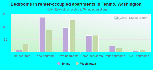 Bedrooms in renter-occupied apartments in Tenino, Washington