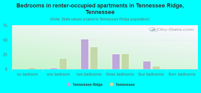Bedrooms in renter-occupied apartments in Tennessee Ridge, Tennessee