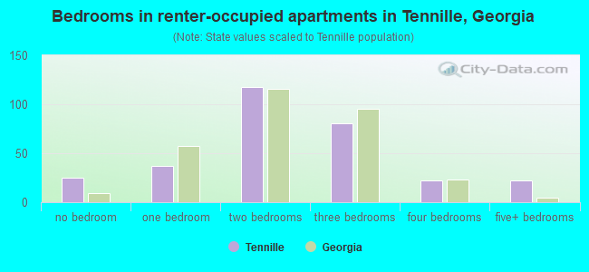 Bedrooms in renter-occupied apartments in Tennille, Georgia