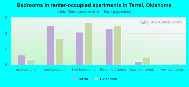 Bedrooms in renter-occupied apartments in Terral, Oklahoma