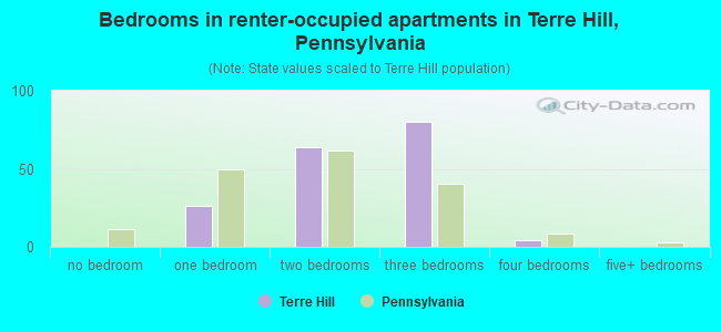 Bedrooms in renter-occupied apartments in Terre Hill, Pennsylvania