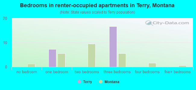 Bedrooms in renter-occupied apartments in Terry, Montana
