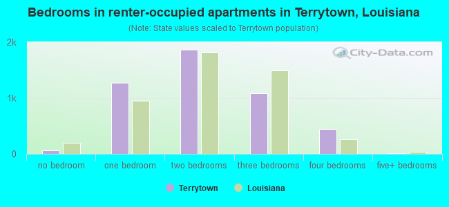 Bedrooms in renter-occupied apartments in Terrytown, Louisiana