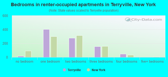 Bedrooms in renter-occupied apartments in Terryville, New York