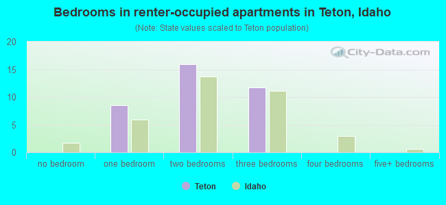 Bedrooms in renter-occupied apartments in Teton, Idaho