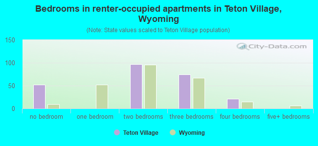 Bedrooms in renter-occupied apartments in Teton Village, Wyoming