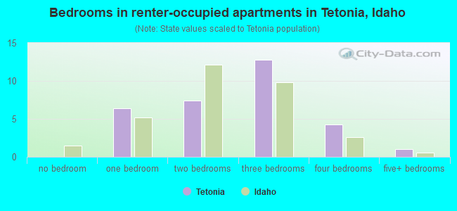 Bedrooms in renter-occupied apartments in Tetonia, Idaho
