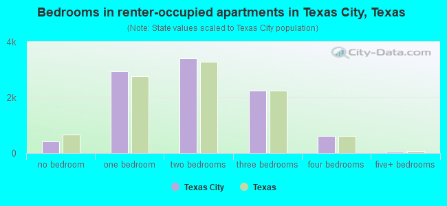 Bedrooms in renter-occupied apartments in Texas City, Texas