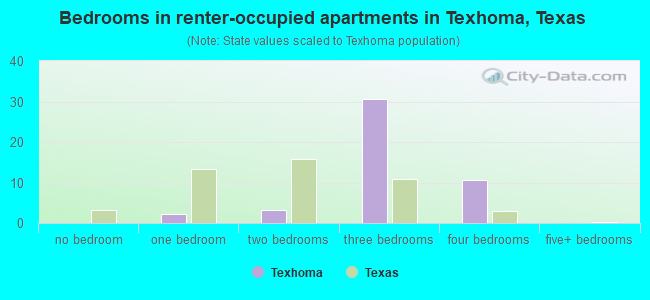 Bedrooms in renter-occupied apartments in Texhoma, Texas