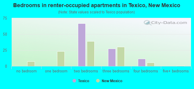 Bedrooms in renter-occupied apartments in Texico, New Mexico