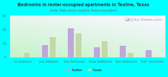 Bedrooms in renter-occupied apartments in Texline, Texas