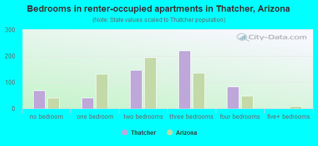 Bedrooms in renter-occupied apartments in Thatcher, Arizona