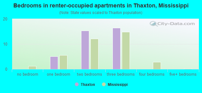 Bedrooms in renter-occupied apartments in Thaxton, Mississippi