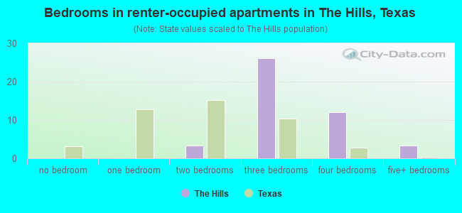 Bedrooms in renter-occupied apartments in The Hills, Texas