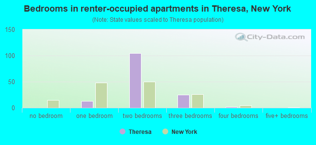 Bedrooms in renter-occupied apartments in Theresa, New York