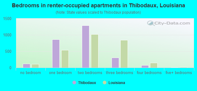 Bedrooms in renter-occupied apartments in Thibodaux, Louisiana