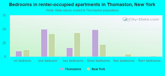 Bedrooms in renter-occupied apartments in Thomaston, New York