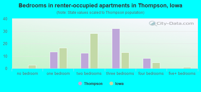 Bedrooms in renter-occupied apartments in Thompson, Iowa