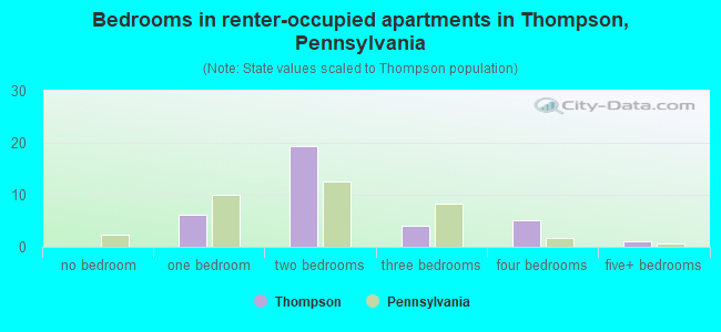 Bedrooms in renter-occupied apartments in Thompson, Pennsylvania