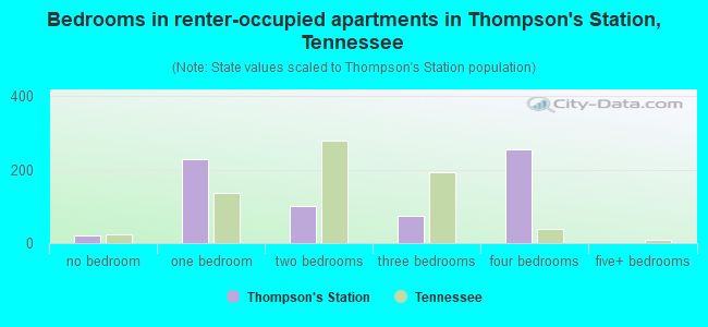 Bedrooms in renter-occupied apartments in Thompson's Station, Tennessee