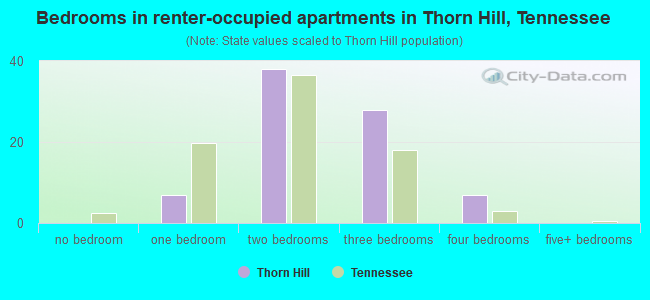 Bedrooms in renter-occupied apartments in Thorn Hill, Tennessee