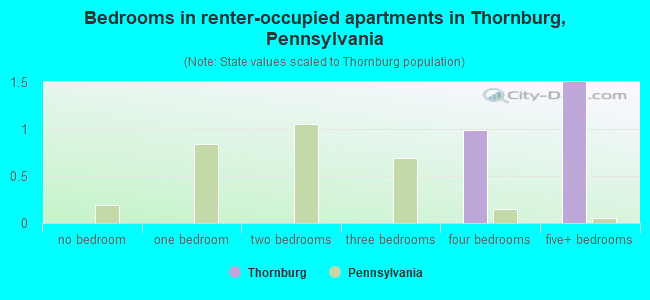 Bedrooms in renter-occupied apartments in Thornburg, Pennsylvania