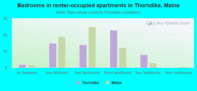 Bedrooms in renter-occupied apartments in Thorndike, Maine
