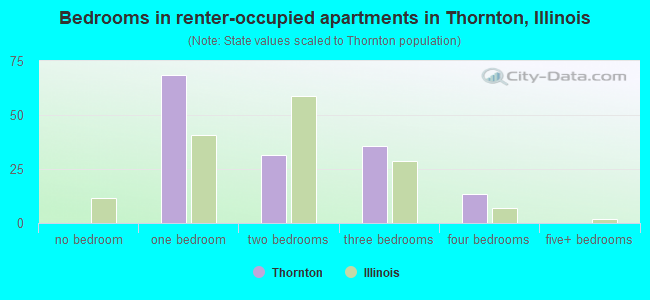 Bedrooms in renter-occupied apartments in Thornton, Illinois