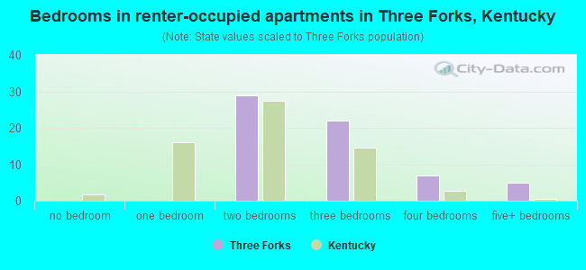 Bedrooms in renter-occupied apartments in Three Forks, Kentucky