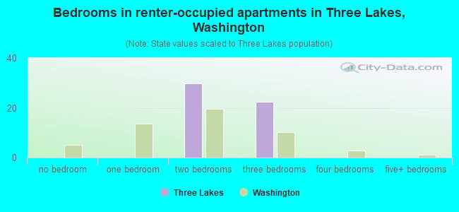 Bedrooms in renter-occupied apartments in Three Lakes, Washington