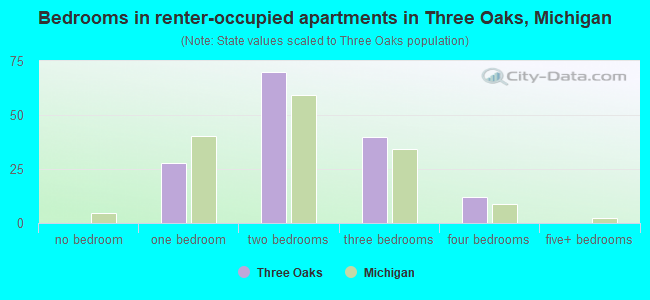 Bedrooms in renter-occupied apartments in Three Oaks, Michigan