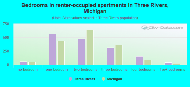 Bedrooms in renter-occupied apartments in Three Rivers, Michigan