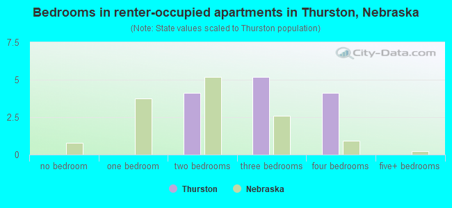 Bedrooms in renter-occupied apartments in Thurston, Nebraska