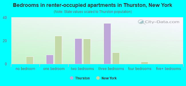 Bedrooms in renter-occupied apartments in Thurston, New York