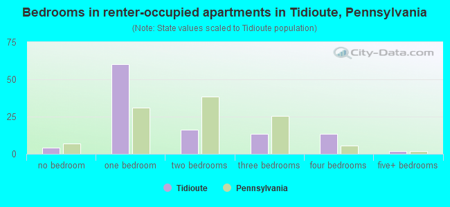 Bedrooms in renter-occupied apartments in Tidioute, Pennsylvania