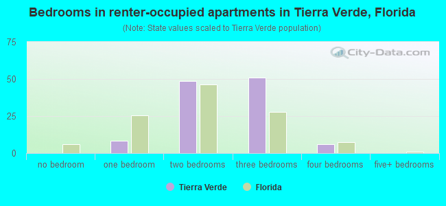 Bedrooms in renter-occupied apartments in Tierra Verde, Florida