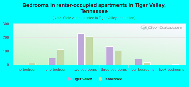 Bedrooms in renter-occupied apartments in Tiger Valley, Tennessee