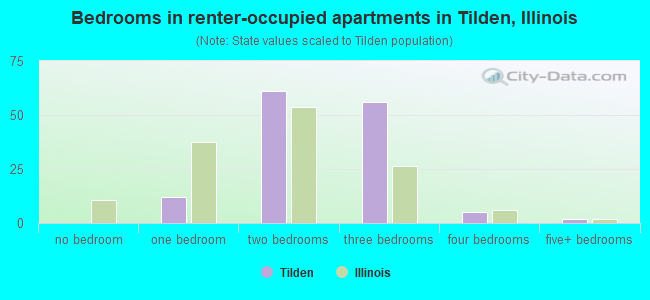 Bedrooms in renter-occupied apartments in Tilden, Illinois