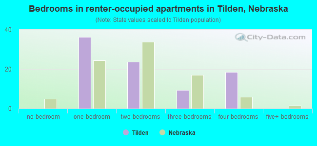 Bedrooms in renter-occupied apartments in Tilden, Nebraska