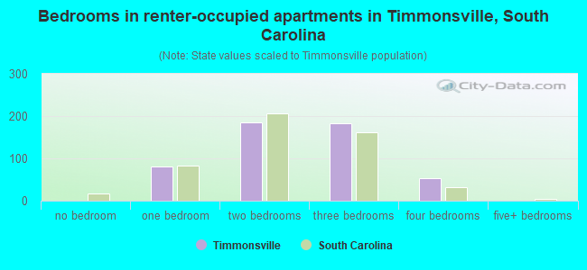 Bedrooms in renter-occupied apartments in Timmonsville, South Carolina