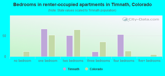 Bedrooms in renter-occupied apartments in Timnath, Colorado