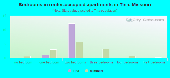 Bedrooms in renter-occupied apartments in Tina, Missouri